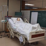 Simulation used by students