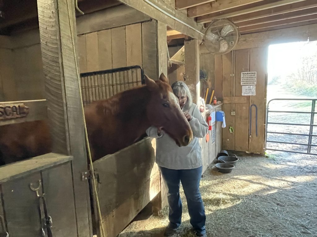 Laura and a therapy horse.