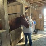 Laura and a therapy horse.